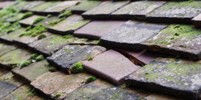 Hiraeth roof repair costs